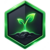 Seedling